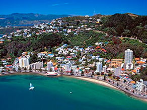 Wellington udsigt over byen og bugten